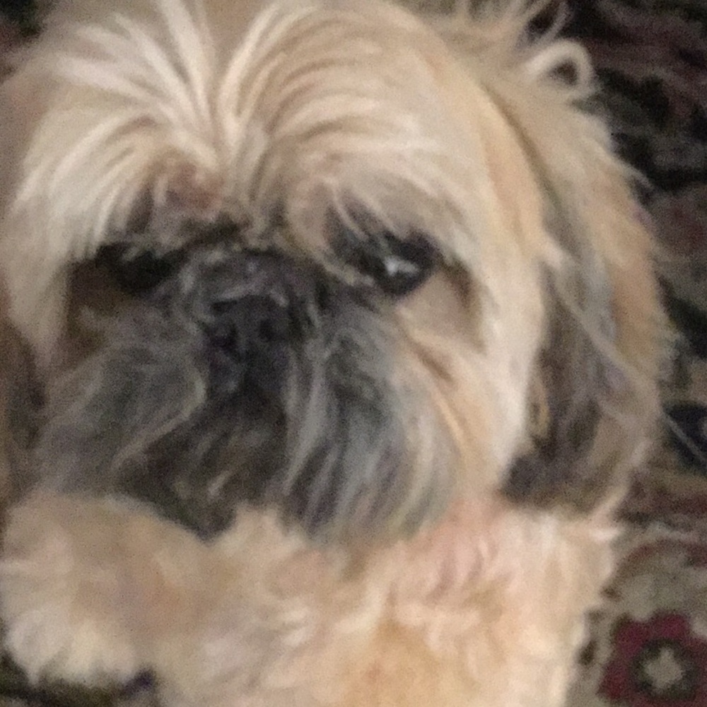 Meet your Posher, Azniv